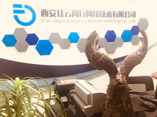 西安佳云尚行網(wǎng)絡技術